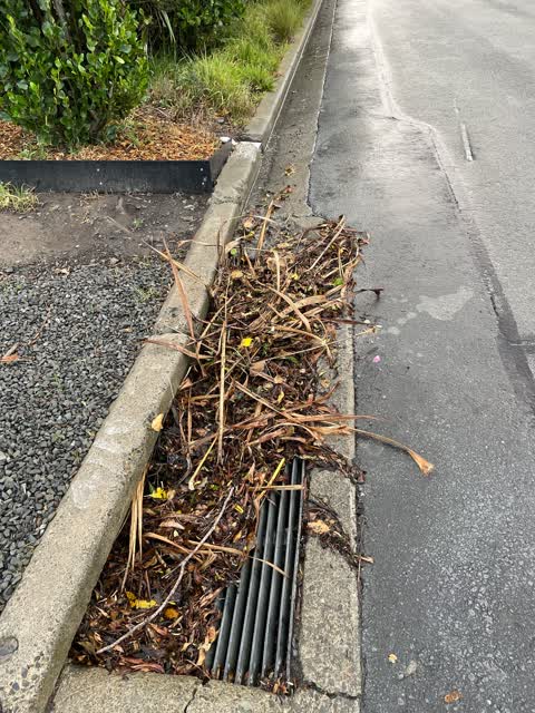 Wastewater/Stormwater, a report photo