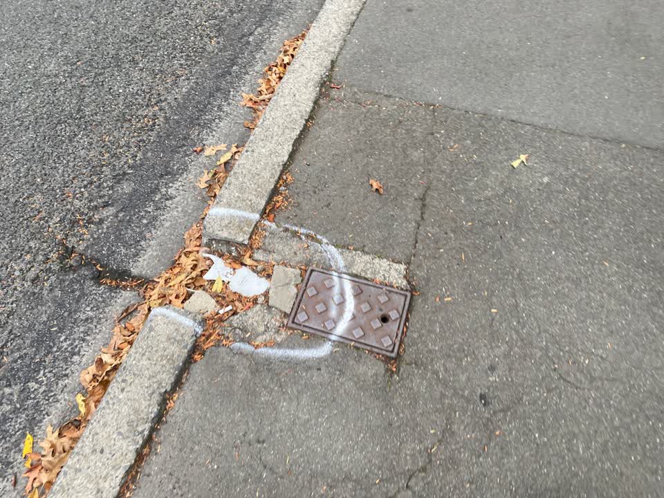 The photograph attached to this roading/streets report
