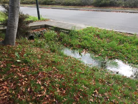 Wastewater/Stormwater, a report photo