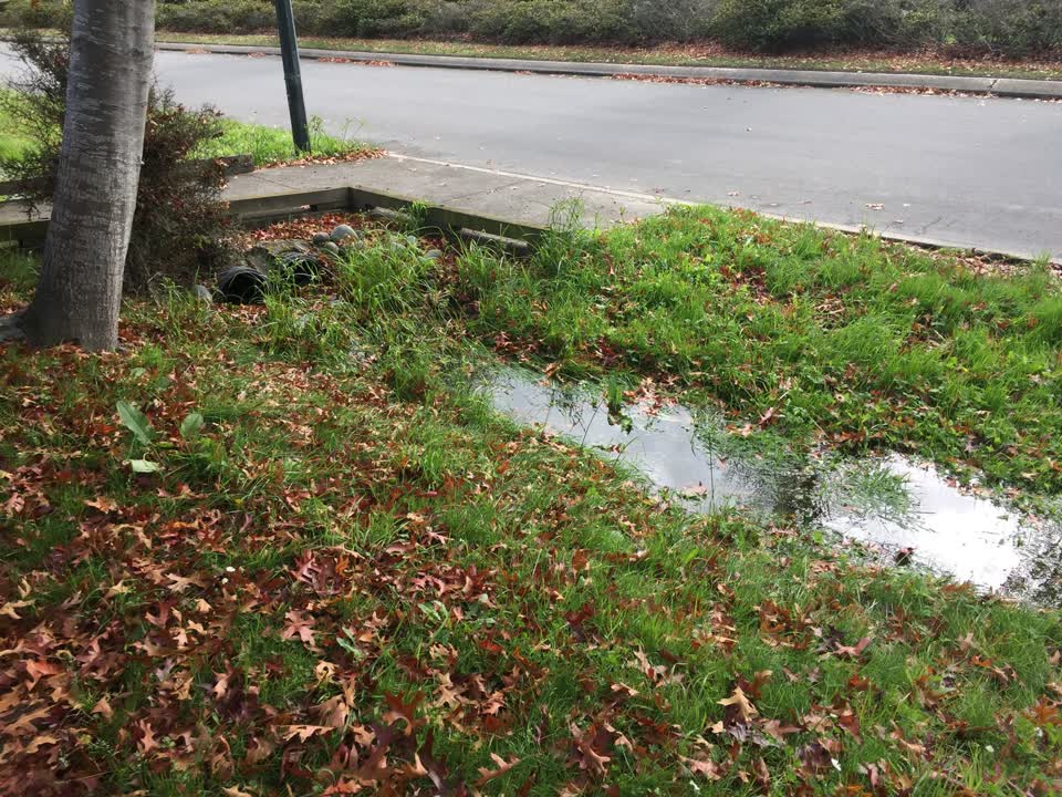 The photograph attached to this wastewater/stormwater report