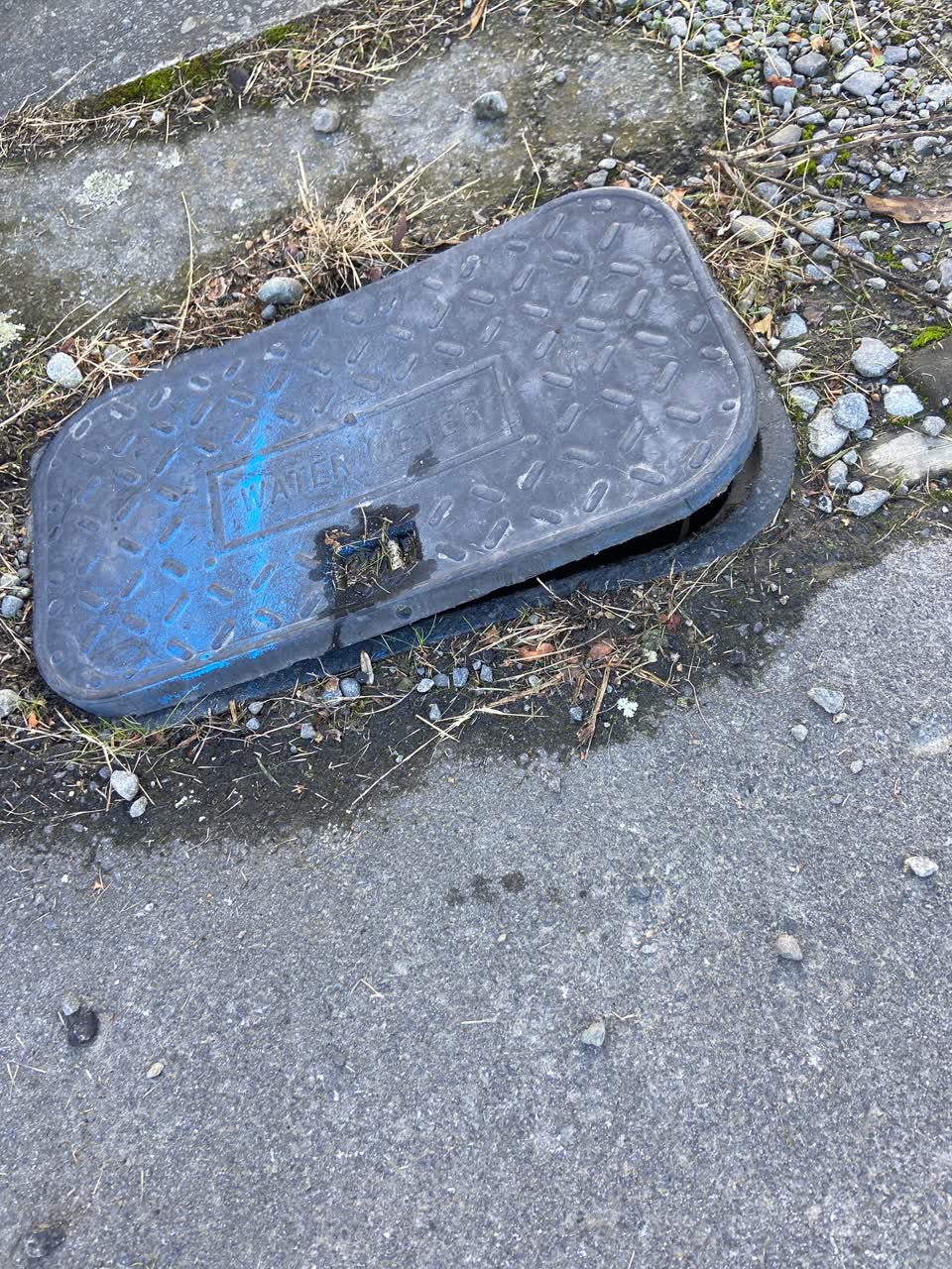 The photograph attached to this roading/streets report