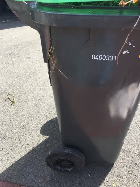 Rubbish/Recycling, a report photo
