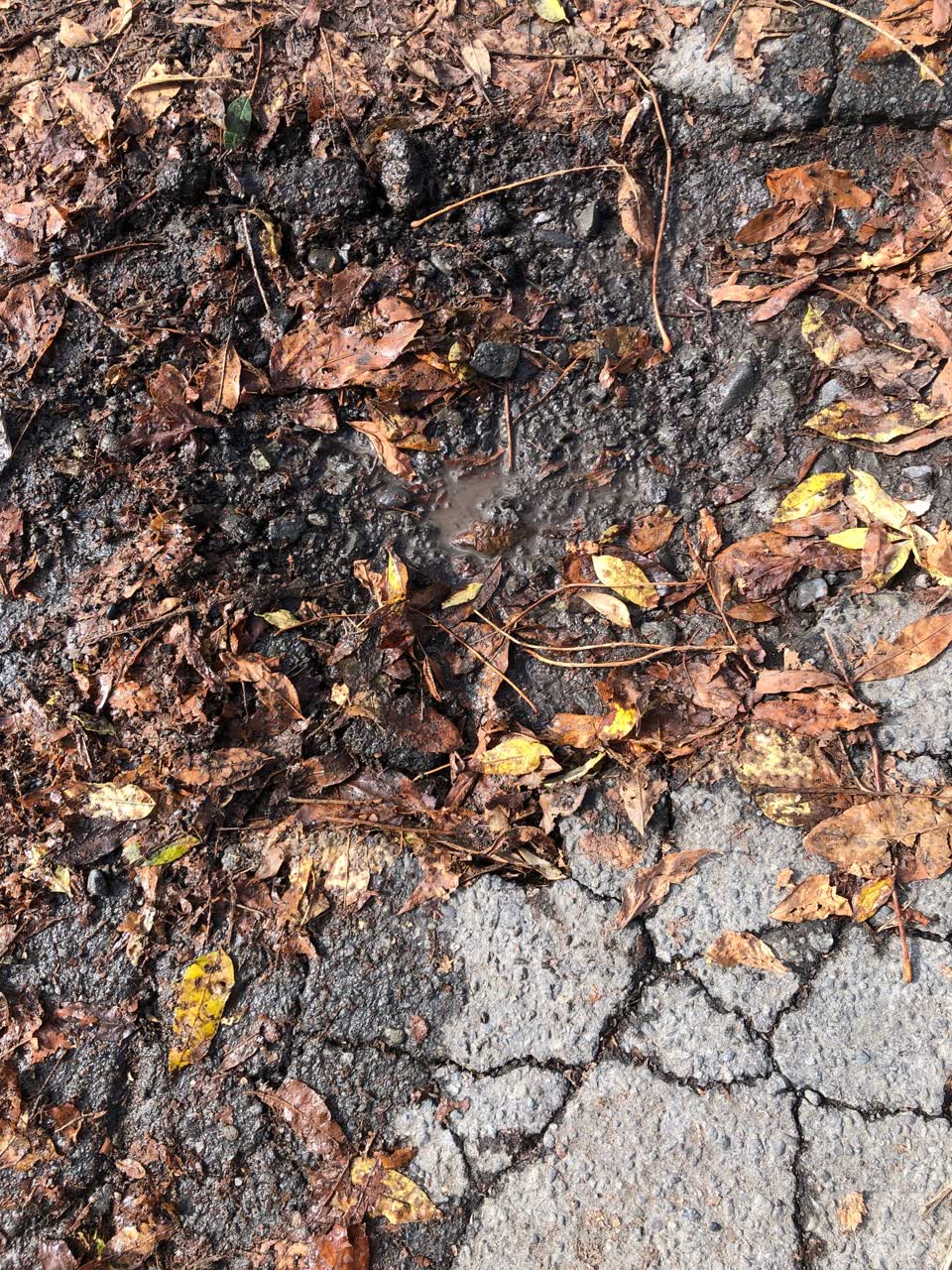The photograph attached to this roading/streets report