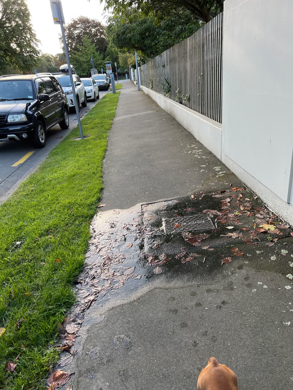 The photograph attached to this water supply report
