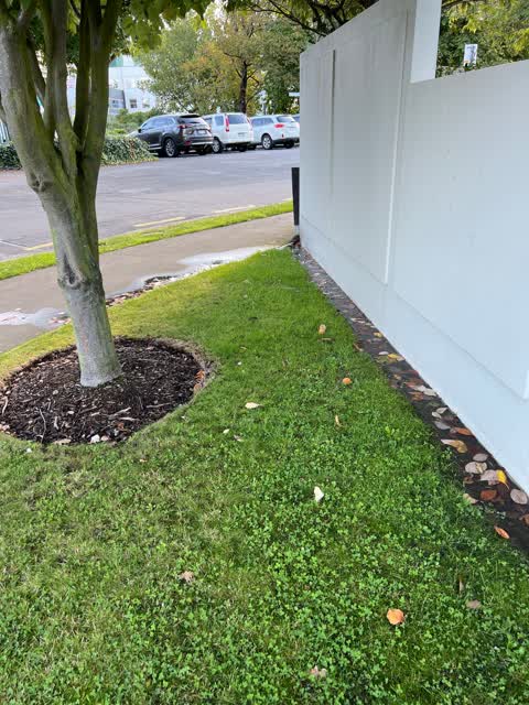 Water Leak, a report photo