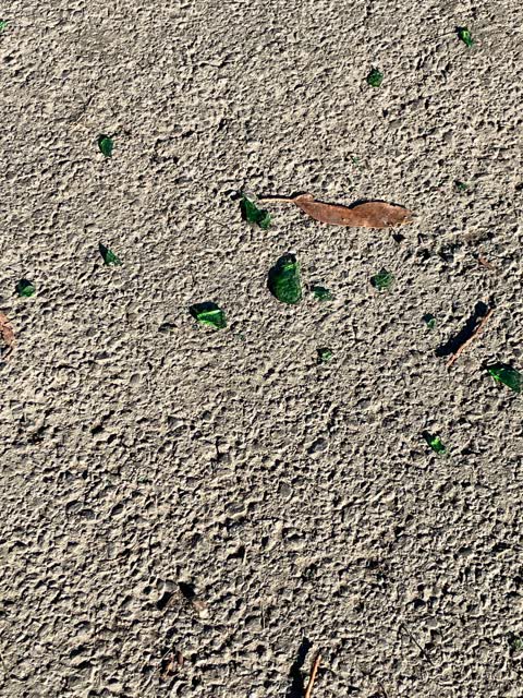 Parks — a report photo