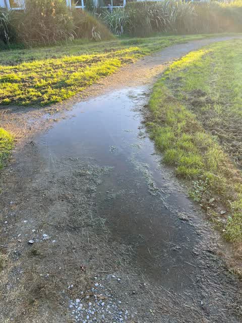Parks, a report photo