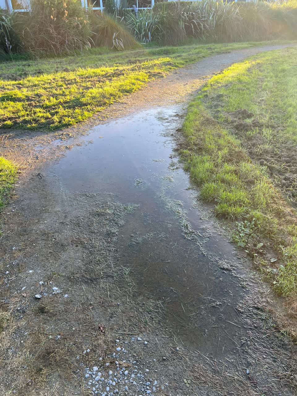 The photograph attached to this parks report