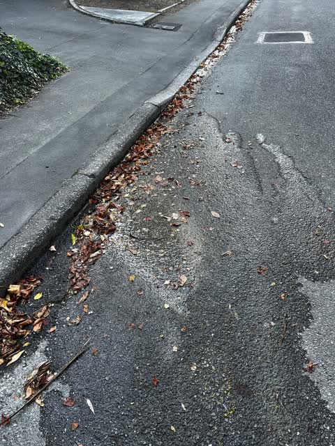Water Leak, a report photo