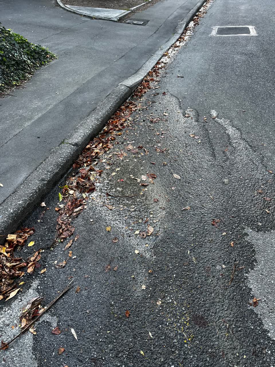 The photograph attached to this water leak report
