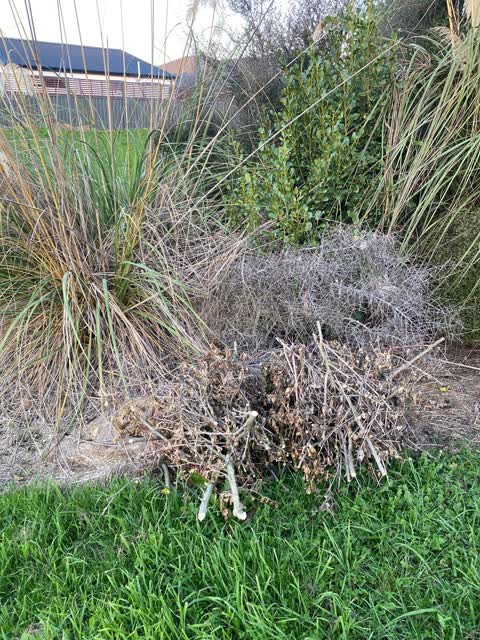Rubbish/Recycling, a report photo
