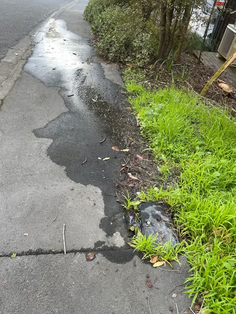 Water Leak, a report photo