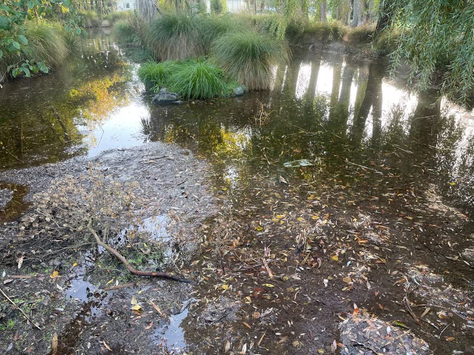 The photograph attached to this parks report