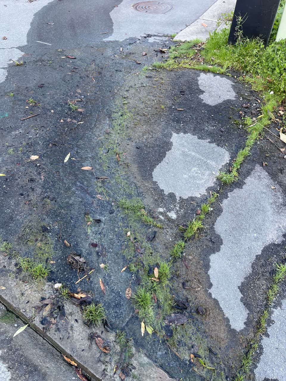 The photograph attached to this wastewater/stormwater report