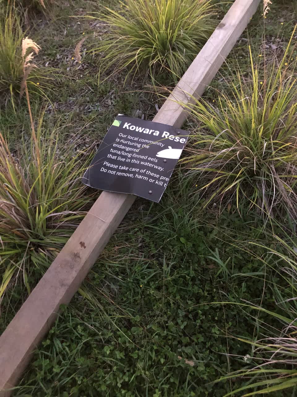 The photograph attached to this parks report