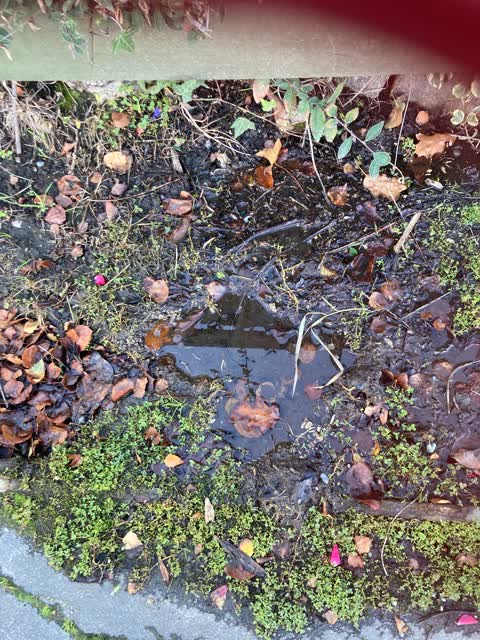 Water Leak, a report photo
