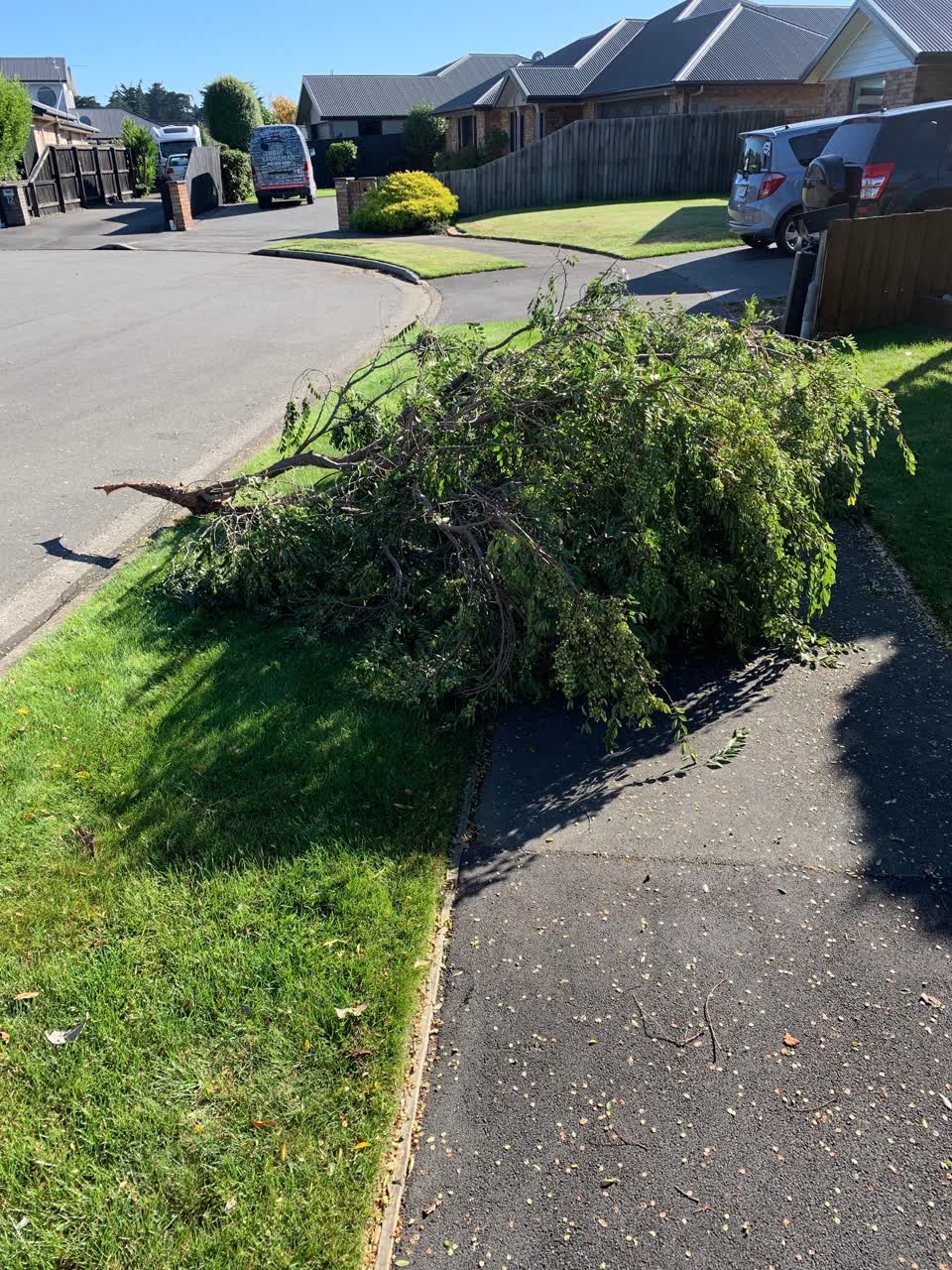 The photograph attached to this roading/streets report