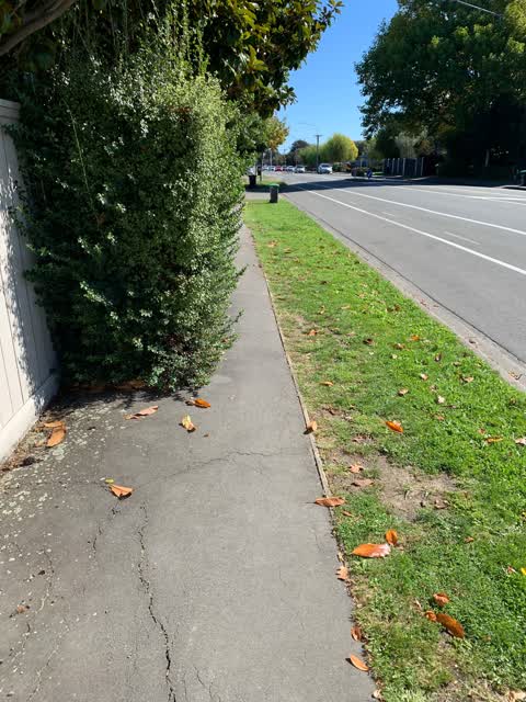 Roading/Streets, a report photo