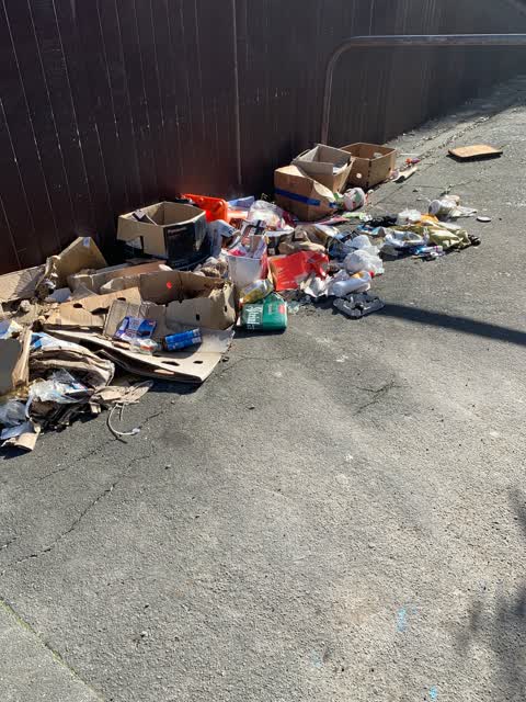 Rubbish/Recycling — a report photo