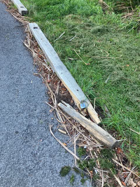 Roading/Streets, a report photo