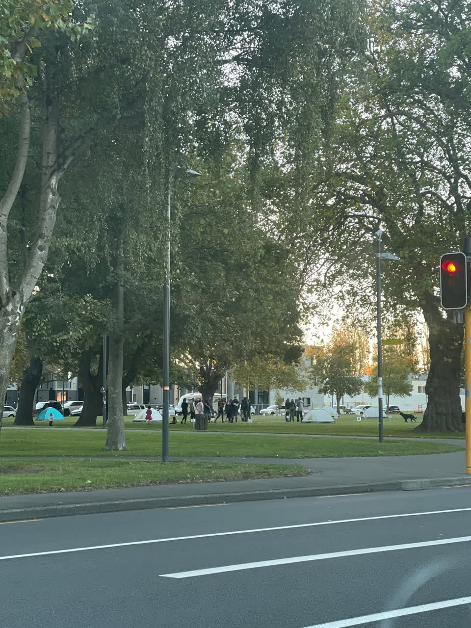The photograph attached to this parks report