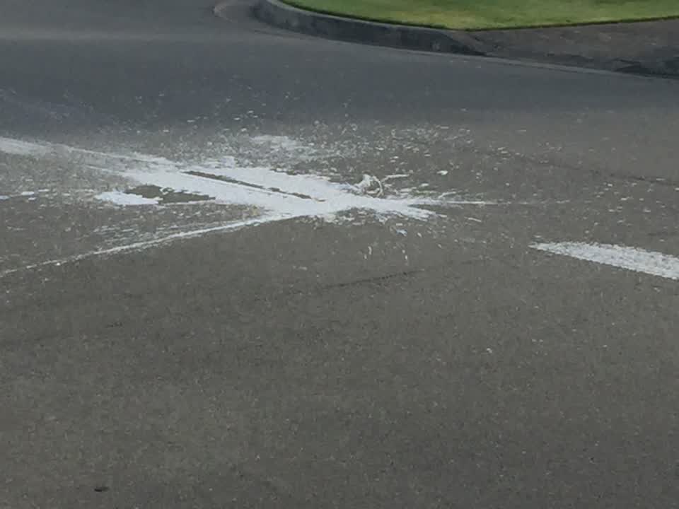 The photograph attached to this roading/streets report