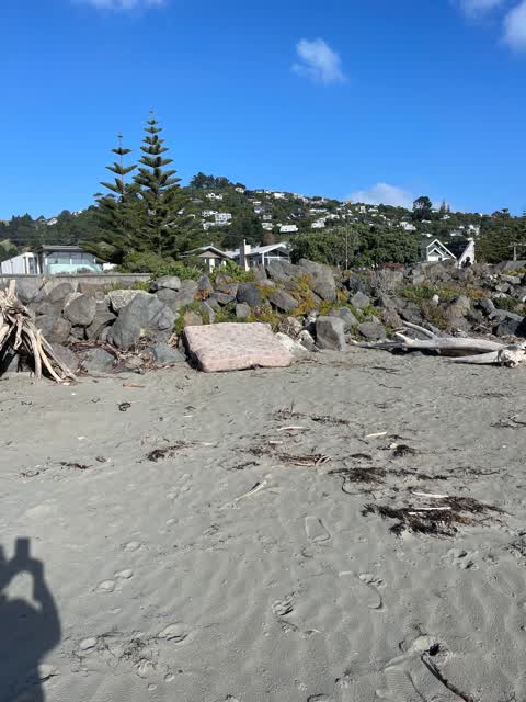 Rubbish/Recycling — a report photo