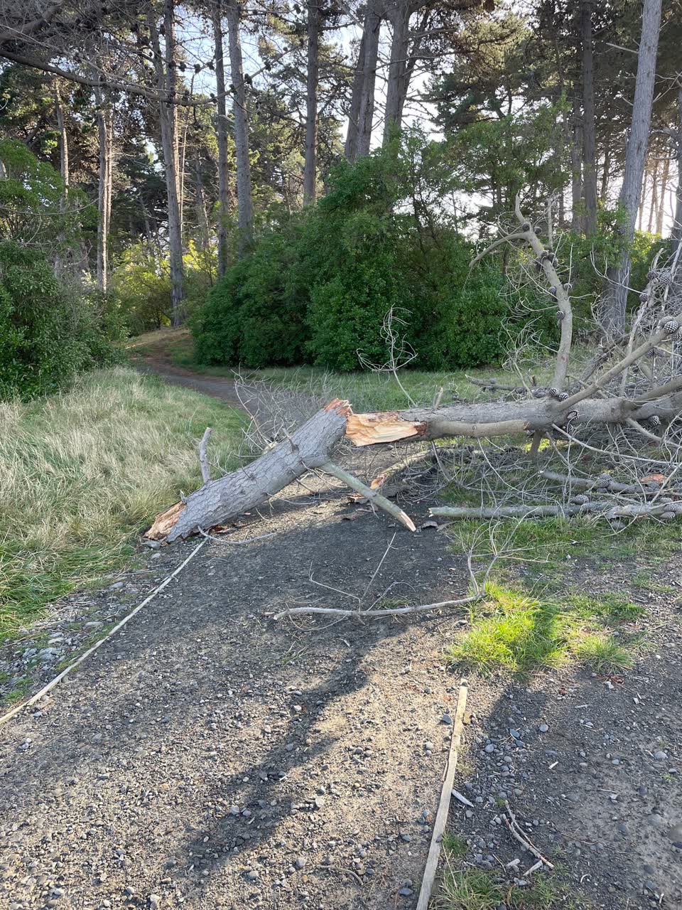 The photograph attached to this parks report