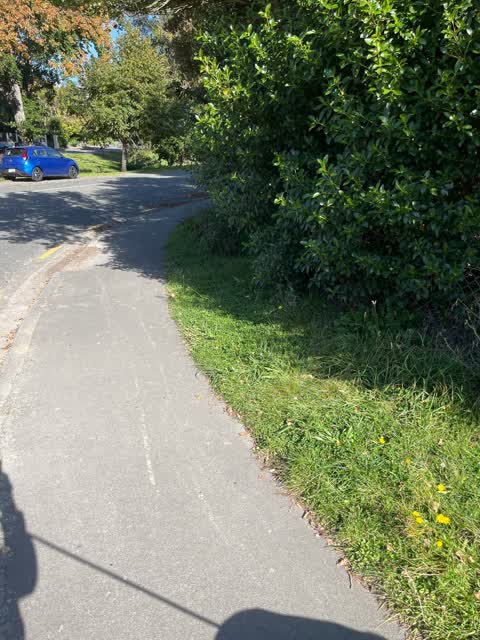 Parks — a report photo