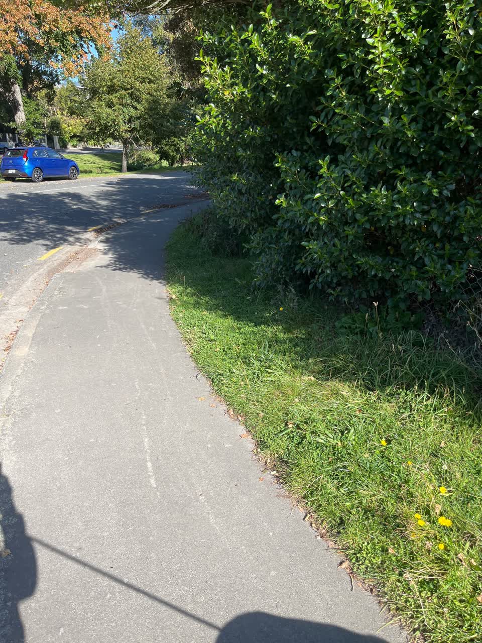 The photograph attached to this parks report