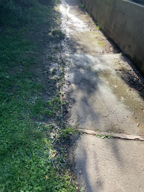 Water Leak, a report photo