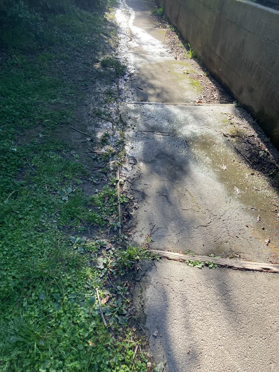 The photograph attached to this water leak report