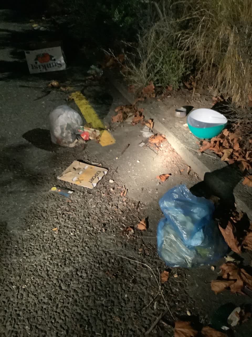 The photograph attached to this rubbish/recycling report