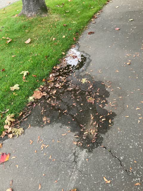 Water Leak, a report photo