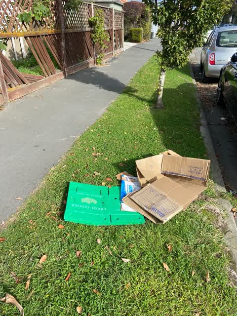 Rubbish/Recycling, a report photo