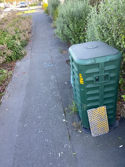 Roading/Streets, a report photo