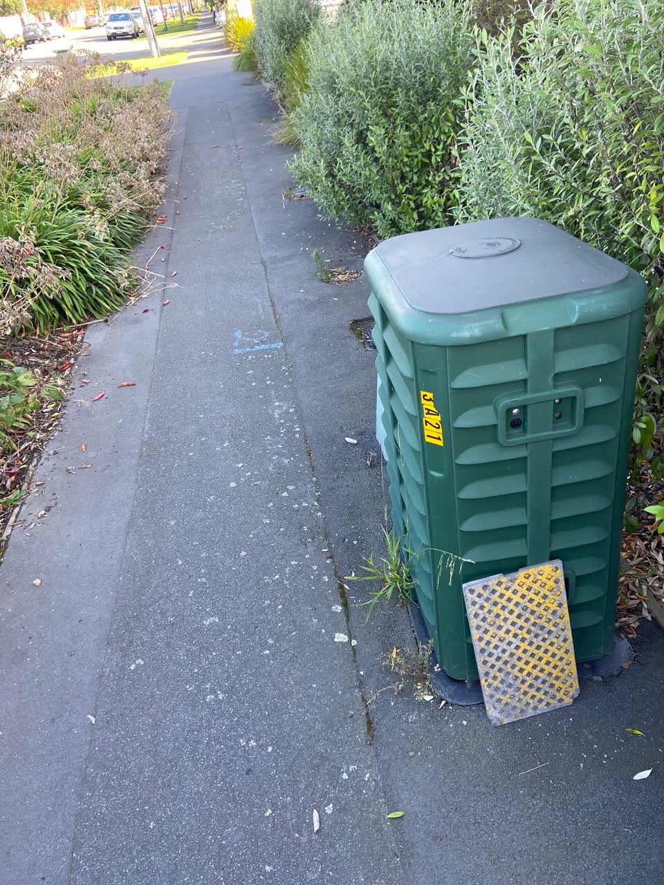 The photograph attached to this roading/streets report