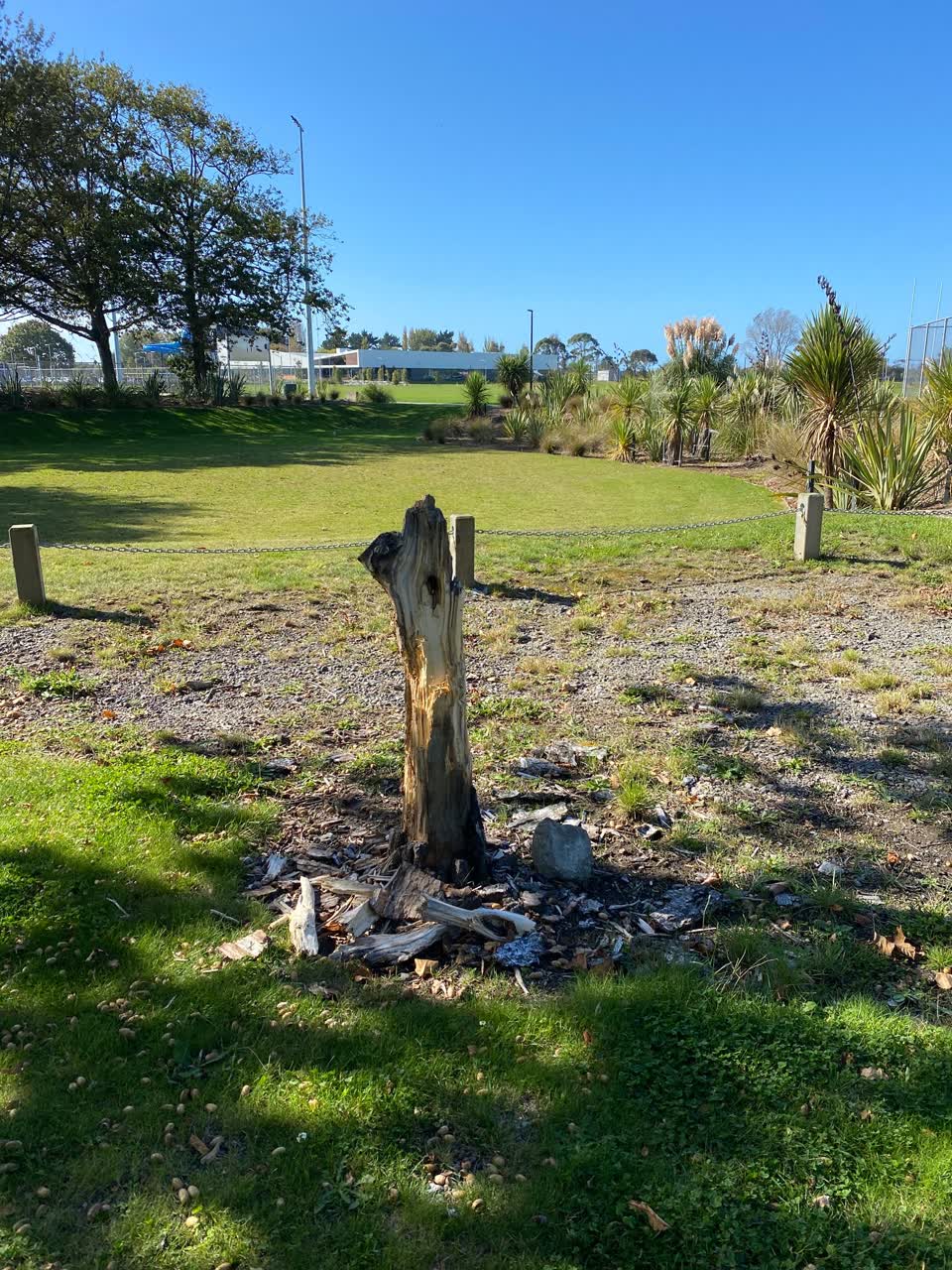 The photograph attached to this parks report