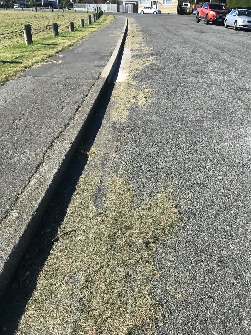 The photograph attached to this parks report