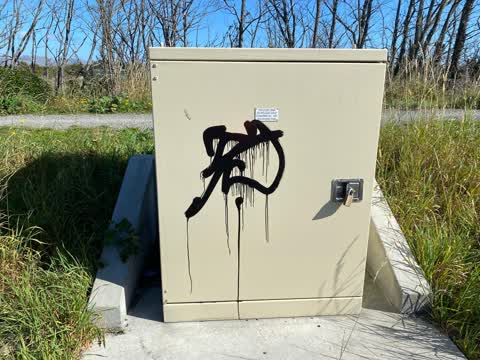 Graffiti, a report photo