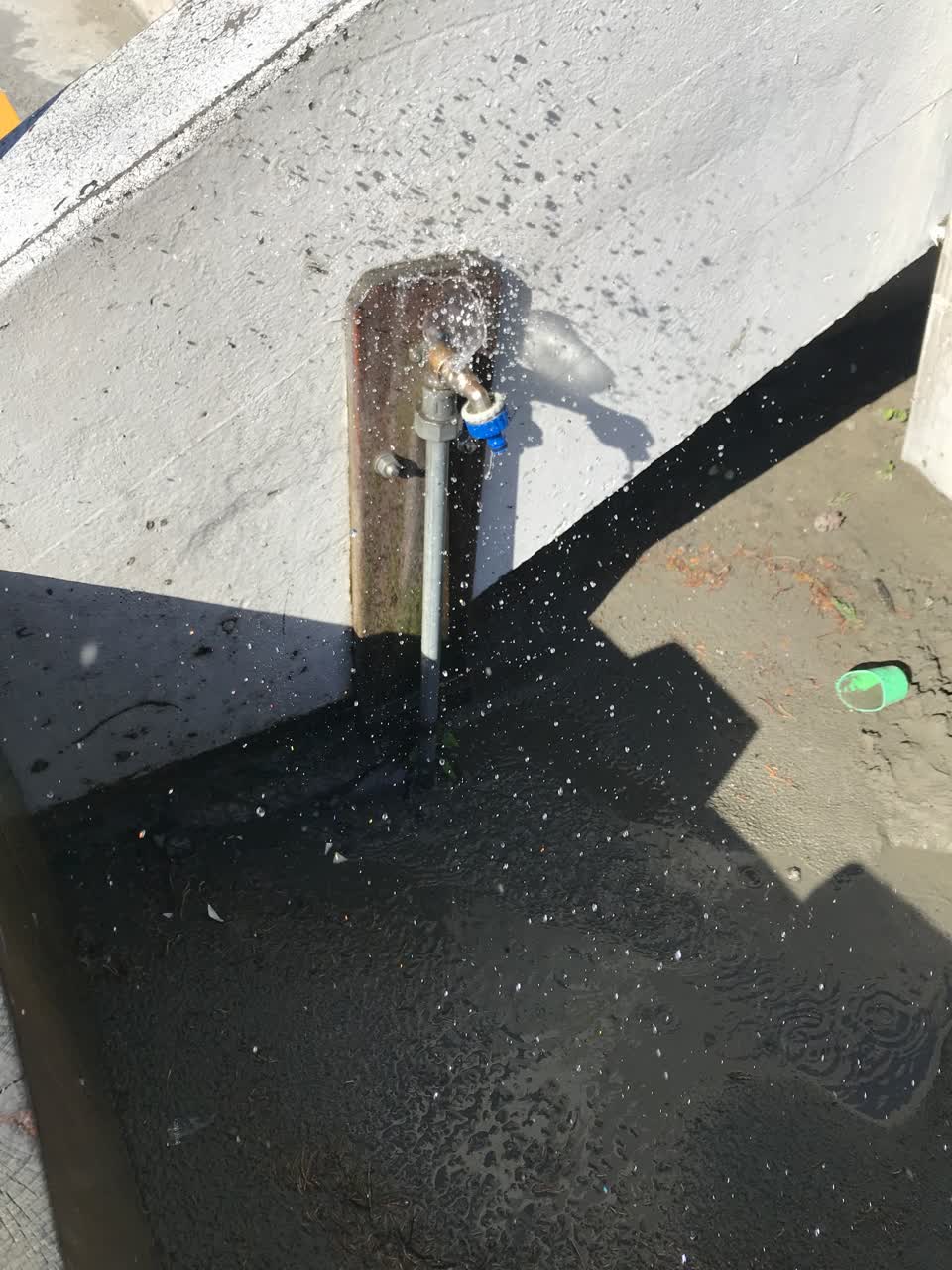 The photograph attached to this parks report