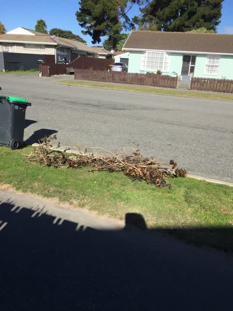 Roading/Streets, a report photo