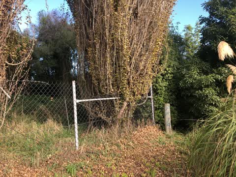 Parks, a report photo