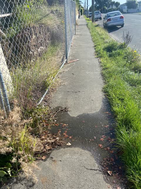 Water Leak — a report photo