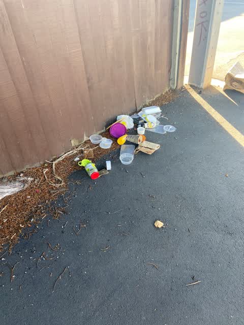 Rubbish/Recycling, a report photo