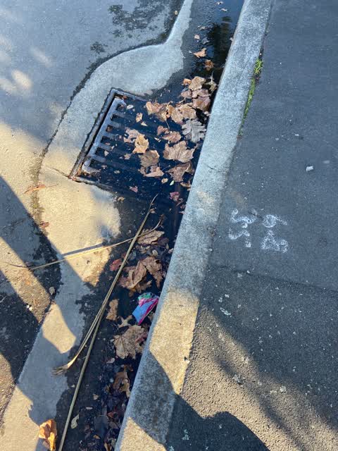 Water Leak, a report photo