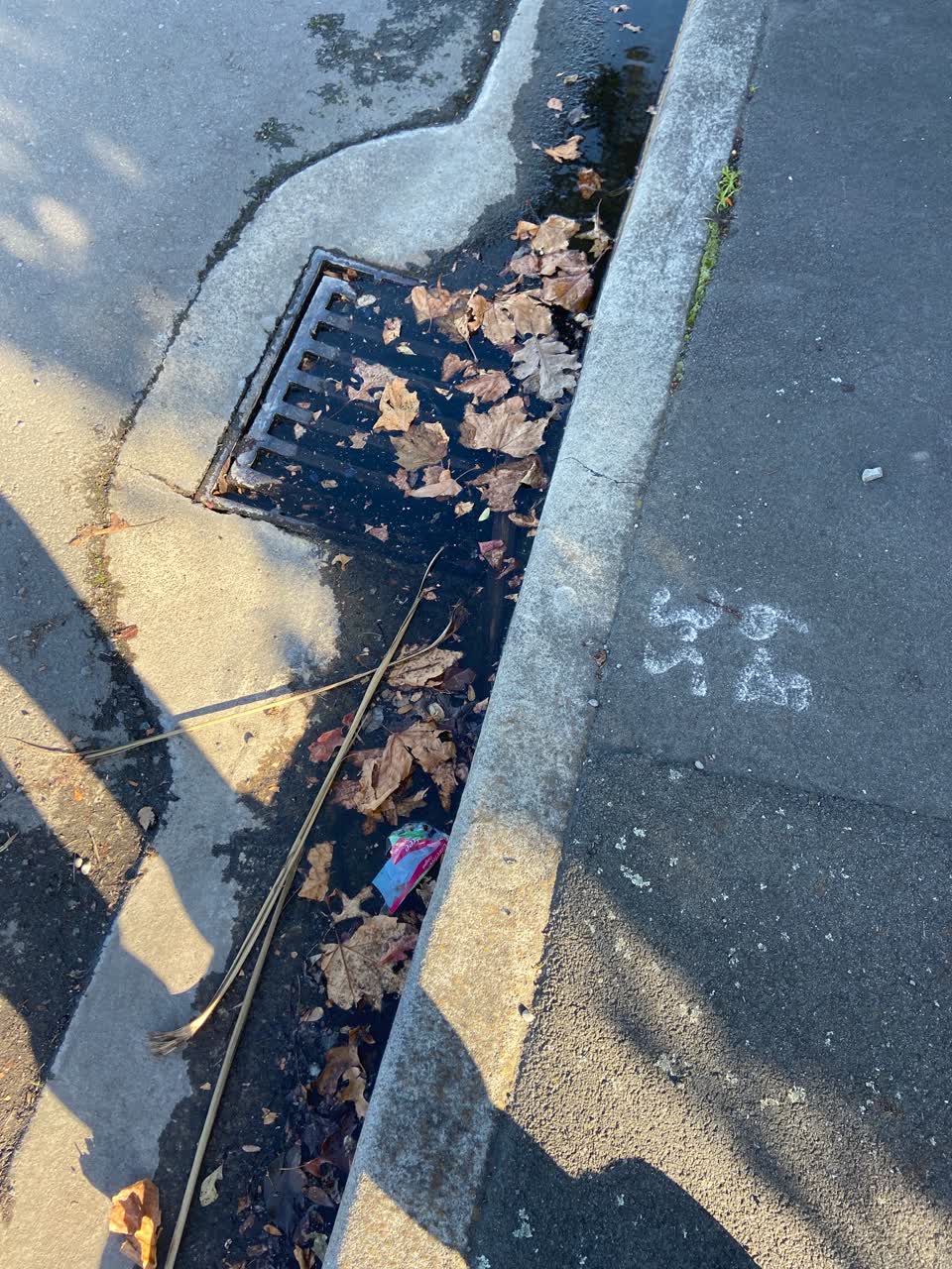 The photograph attached to this water leak report