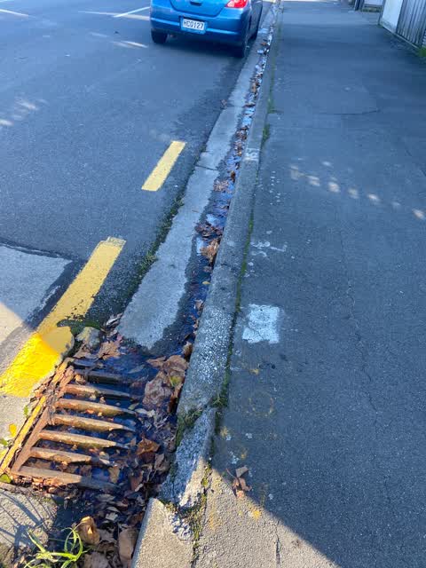 Water Leak, a report photo