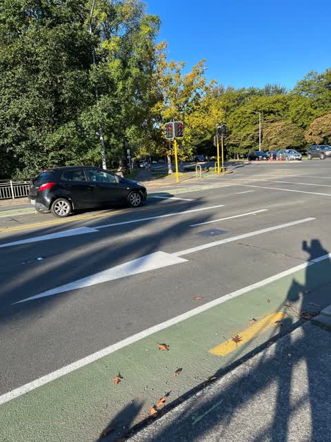 Street Light Outage, a report photo