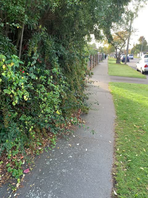 Roading/Streets, a report photo